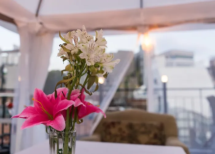Tetto House Rooftop Garden 2*