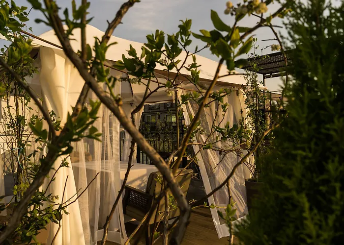 Tetto House Rooftop Garden 2*
